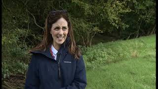 Natural flood defences inspired by beavers