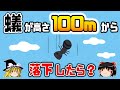 【ゆっくり解説】生か死か?高さ100mから落下したアリはどうなるのか