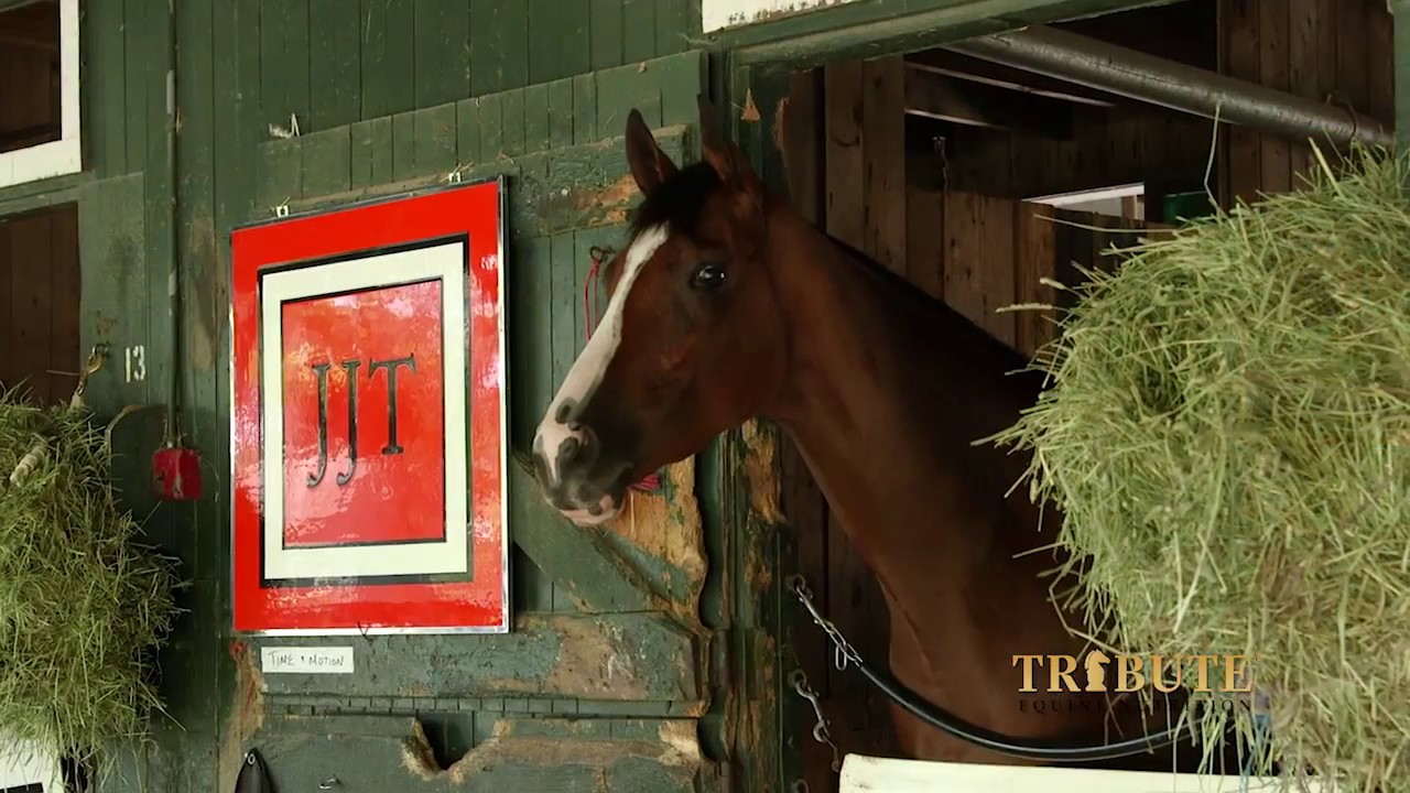 JJ Toner, Thoroughbred Racing Trainer, Chooses Tribute Equine Nutrition