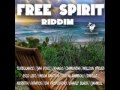 Free Spirit Riddim Mix-Dj Kronixx