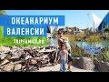 Океанариум в Валенсии