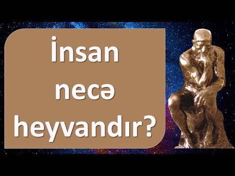 Video: İnsan bir heyvandır