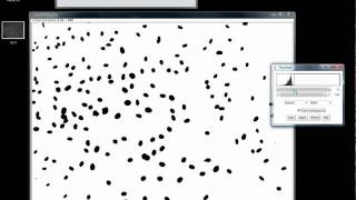 How to count cells using ImageJ How to count cells using ImageJ
