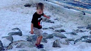 Boy Snatched by Gator at Disney 'Likely Dead'