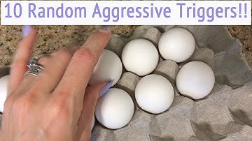 ASMR * Aggressive Fast Tapping & Scratching * 10 Random Items * No Talking * ASMRVilla