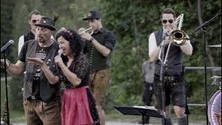 THE HEIMATDAMISCH: Shake it off (live) (Taylor Swift)