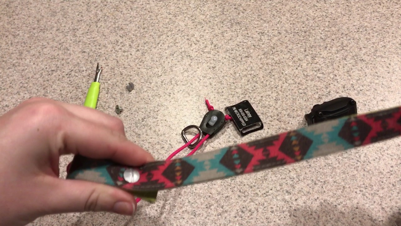 e collar technologies bungee collar