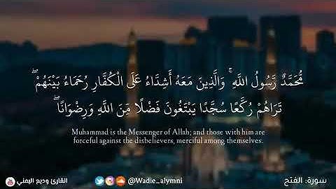 "محمد رسول الله".. تلاوة عطرة من القرآن الكريم