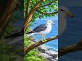 🌄Peaceful Morning Relaxing Lifestyle #relaxingsounds