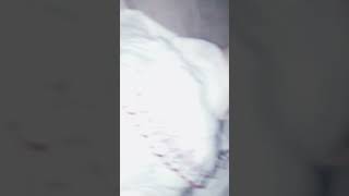 Rotina Trocando Helena