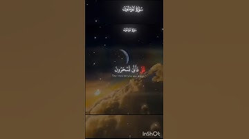 سورة المؤمنون #انشر_المقطع #المصحف #انشر_تؤجر #انشر_ولك_اجر_السامعين#قرآن_كريم