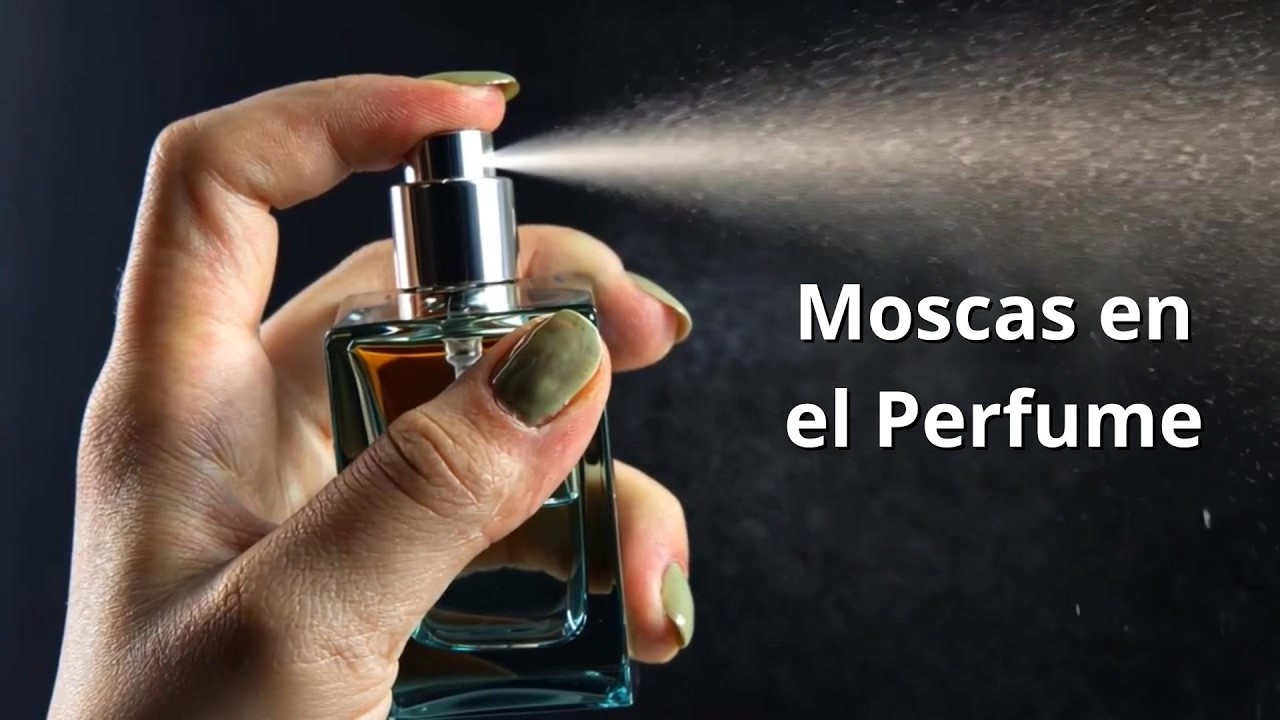 Moscas en el perfume - @JavierGuevaraOrdóñez - @BetelLuzalasNaciones