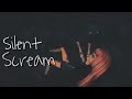 Silent Scream - Msp (2/2)