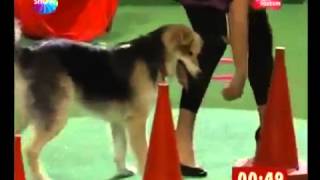 Merve Sevi Sallanan Göğüsleri