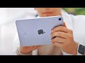 Why YOU NEED the iPad mini 6 (2021)