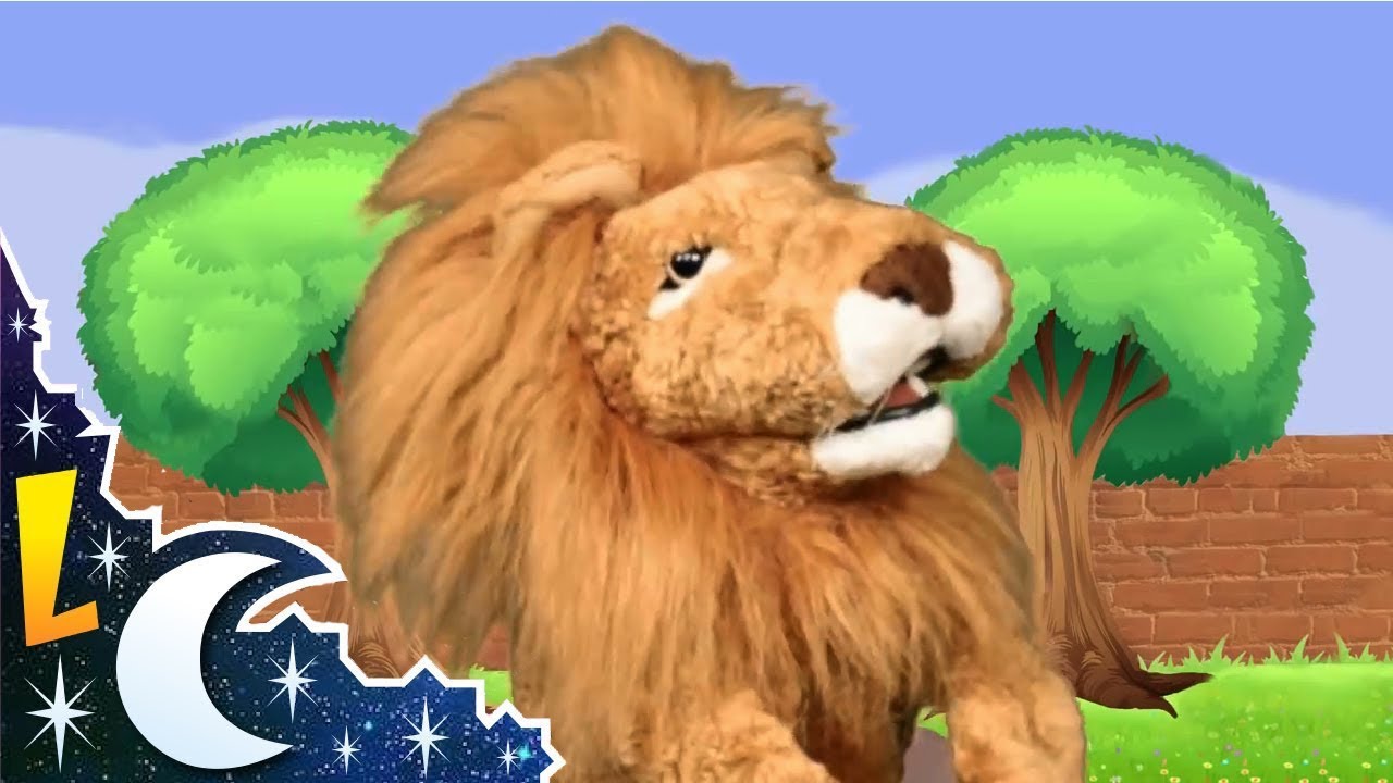 Las canciones del ZOO - El reino de Lorenzoo el León - Videos para niños -  YouTube