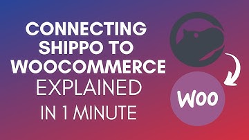 How To Connect Shippo To WooCommerce? (2024)