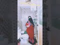 النهارده جايه احكي لك قصه غريبه حقيقيه بتحكي عن هناء الاسطوره 