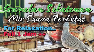 NGLARAS SUARA PERKUTUT DENGAN GAMELAN JAWA SEKATENAN | BUKAN GAMELAN MISTIS