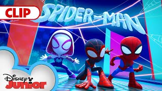 Freeze! It's Team Spidey  | Marvel's Spidey and his Amazing Friends | @disneyjunior