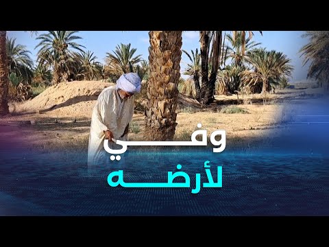 تبسة الحاج محمد فلاح من منطقة بتيتة ببلدية بئر العاتر متمسك بخدمة الأرض رغم كبر سنه