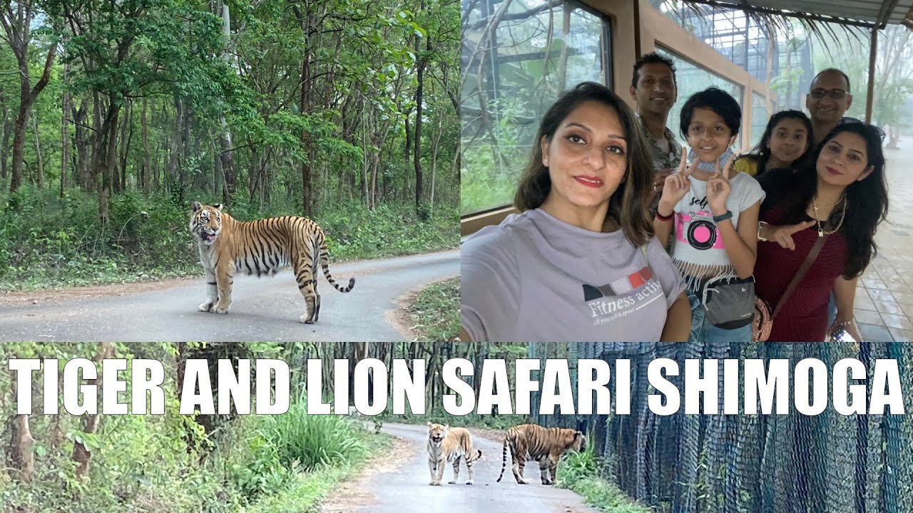 tiger safari shimoga