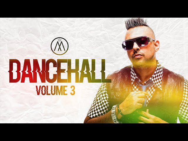 🔥BEST THROWBACK DANCEHALL VIDEO MIX  3 - DJ Mochi Baybee  [Sean Paul, Vegas, TOK, Beenie Man] class=