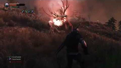 The Witcher 3 - Ghost Mode - Fiend encounter