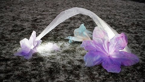 Forces Frozen: Structures made from frozen fabrics