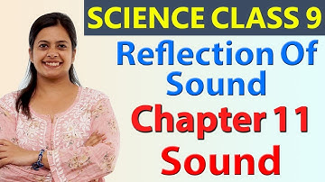Reflection Of Sound, Chapter 11 - Sound - Science Class 9 NCERT