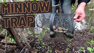 FINALLY! | How To Catch Minnows With Minnow Trap | Dad TV