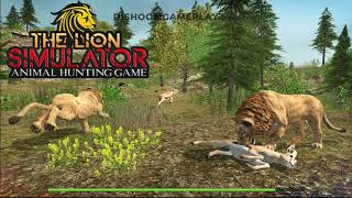 The Lion Simulator Wildlife Hunting Adventure Games - Android Gameplay #3 | Dishoomgameplay screenshot 3