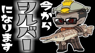 【 #にじPEX 】今からシルバーになります【グウェル・オス・ガール/歌衣メイカ/Mukai】