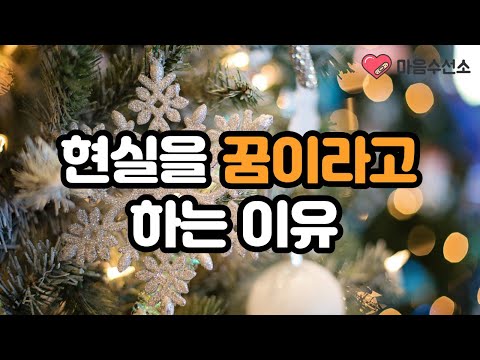 현실이라고 할 수 있는 실체가 없으니까요. / 현실은 꿈이라고 하는 이유