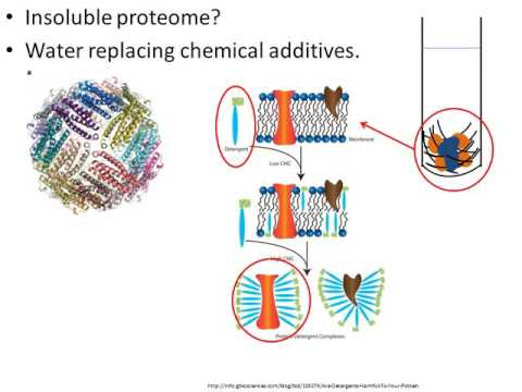 Video: Proteomic Profiling Cairan Intraschisis Manusia Cecair