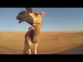 Oman | Travel Video