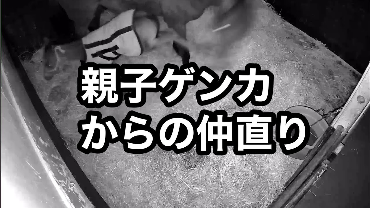 親子ゲンカからの仲直り Youtube
