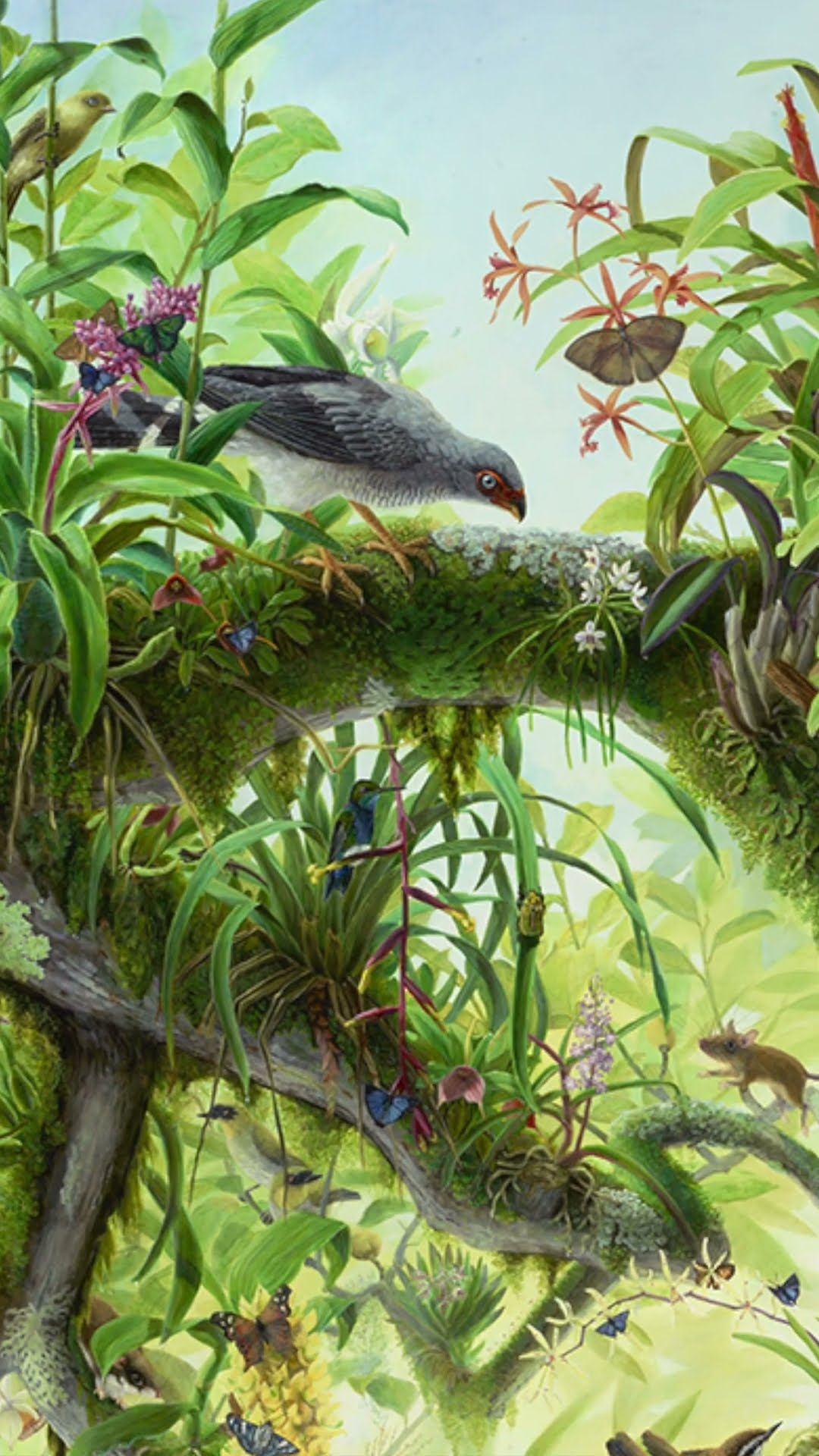 The Beauty of Wildlife | Isabella Kirkland  @TED  #ted #tedtalks #shorts