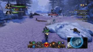 Neverwinter PS4 - Review - Is It Worth Your Time