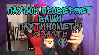 ПАУЧОК ПРОВЕРЯЕТ ВАШИ ПАУТИНОМЕТЫ 2 ЧАСТЬ 🕸❤🎅