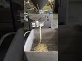 #vipstarmachinery #shijiazhuangchina #sausagestuffermaker #madeinchinamachine