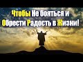 Чтобы Не бояться и Обрести Радость в Жизни! Архим. Виктор (Мамонтов) / Мудрость Жизни!