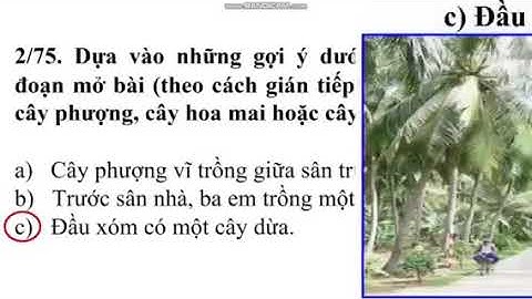 Tuần 25  TLV  Luyện tập xây dựng mở bài trong bài văn miêu tả cây cối