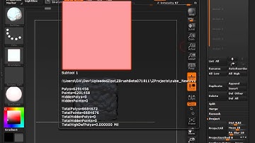 Zbrush 4R5 (How can I project details from one subtool to another)