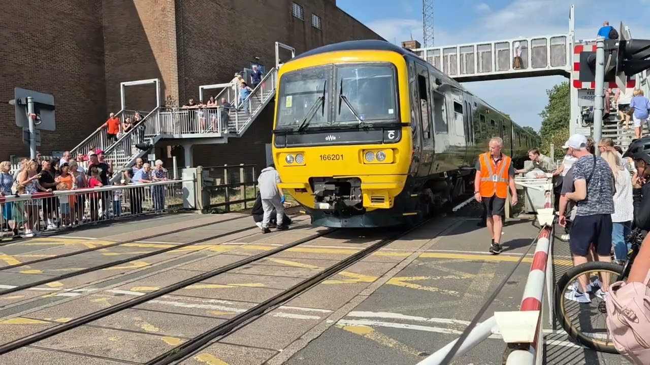 Dog Stops Train at Paignton Level Crossing!
