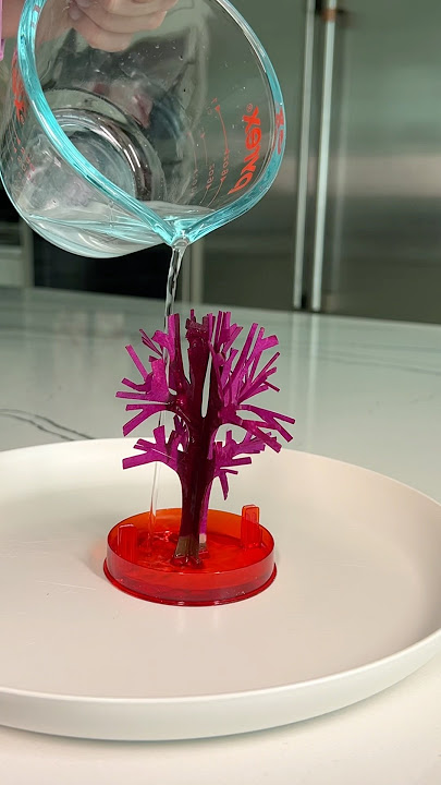 Growing a magic cherry blossom tree! Full transformation!!
