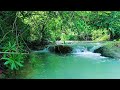 Waterfall Sounds for Sleeping with No Ads or Interruptions