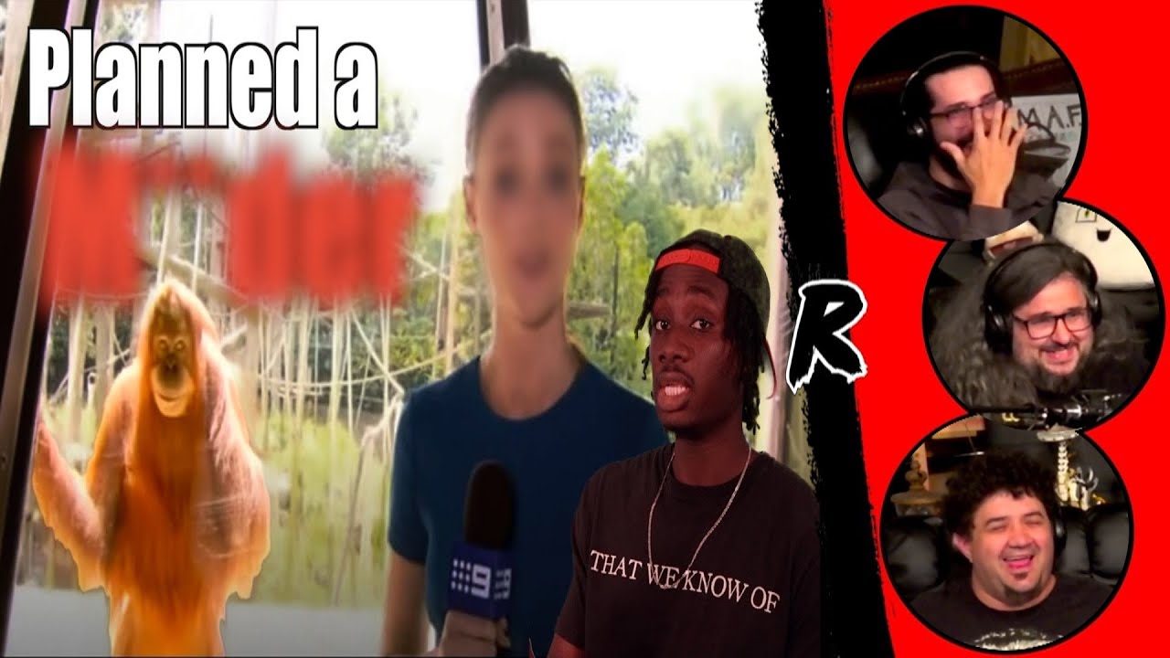 The Potentially Terrifying Intelligence of the Orangutan - @Casual Geographic | RENEGADES REACT