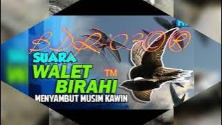 Kombinasi sp BDR-03 & INAP BLACK DRAGON,,Bw kiss twitter