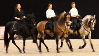 Потрясающе красивый испанский танец верхом на лошадях /Андалузская испанская лошадь /Иппосфера 2017 Потрясающе красивый испанский танец верхом на лошадях /Андалузская испанская лошадь /Иппосфера 2017